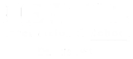 Newton International School