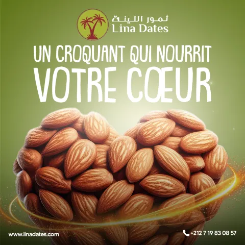 Lina Dates — visuel réseaux sociaux 14